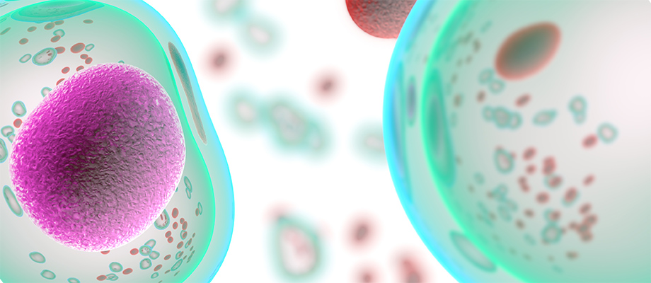 Cellular Starting Material Qualification