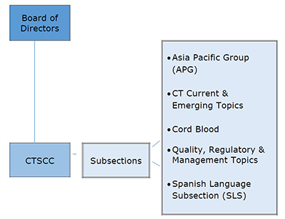 CT Section Flowchart